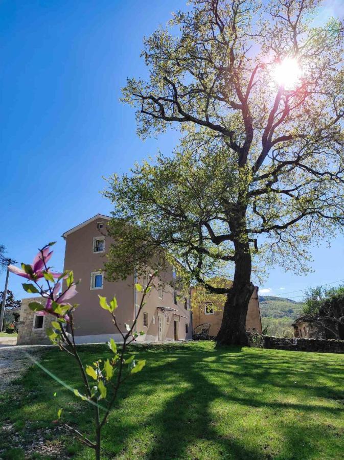 Casa Quieto Motovun Exterior foto